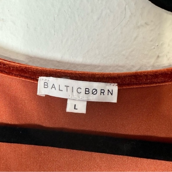 Baltic Born Meghan Velvet Maxi Dress in Rust - Size Large - Picture 3 of 14